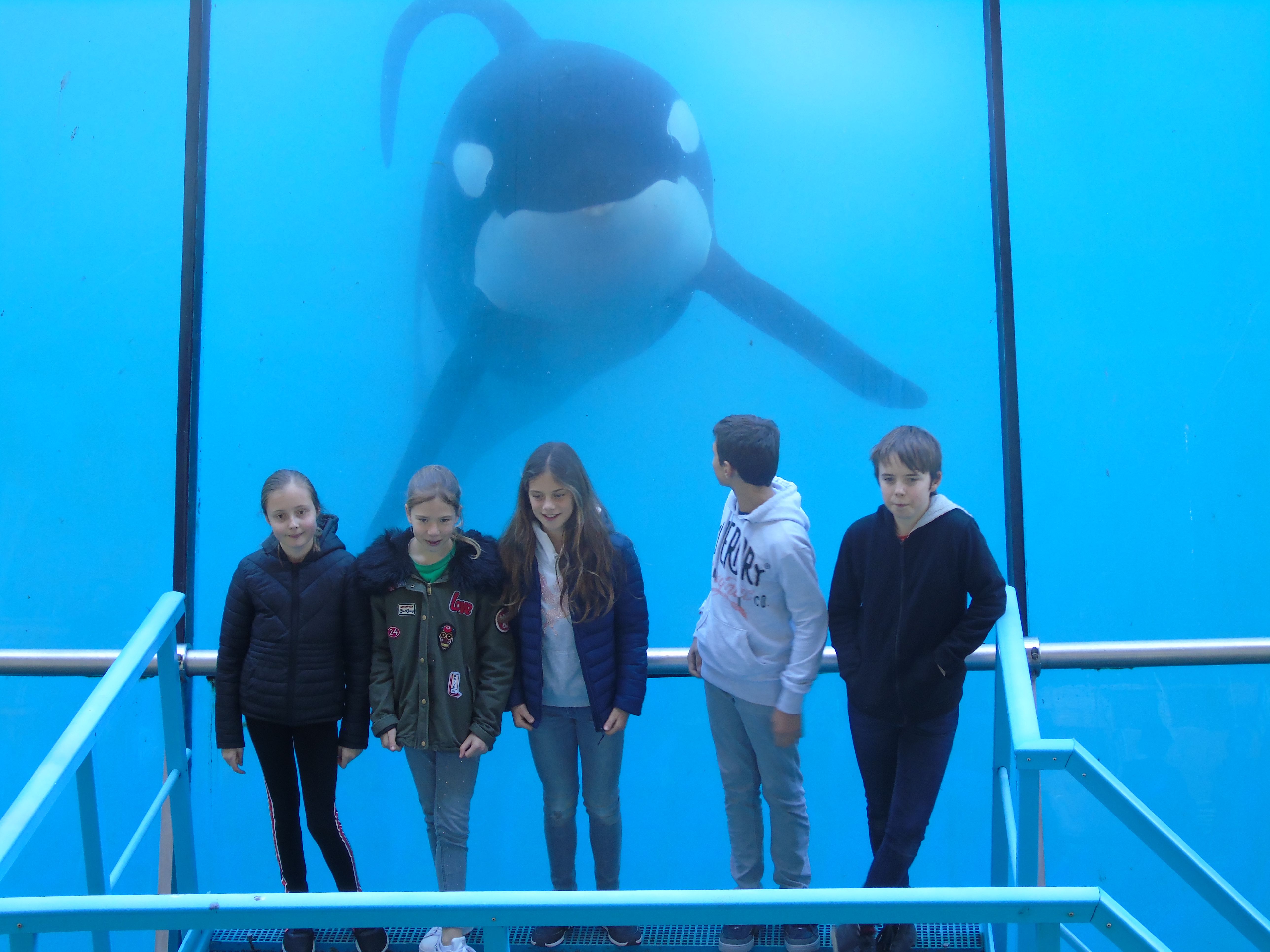 Marineland 2019